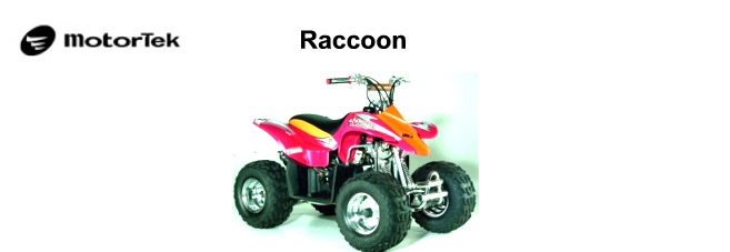 Raccoon